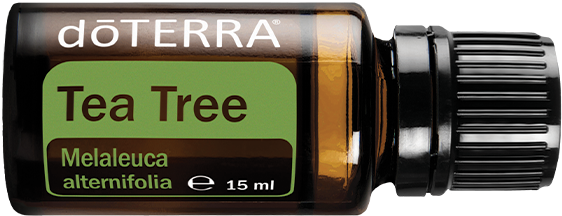 tea tree oil bottle