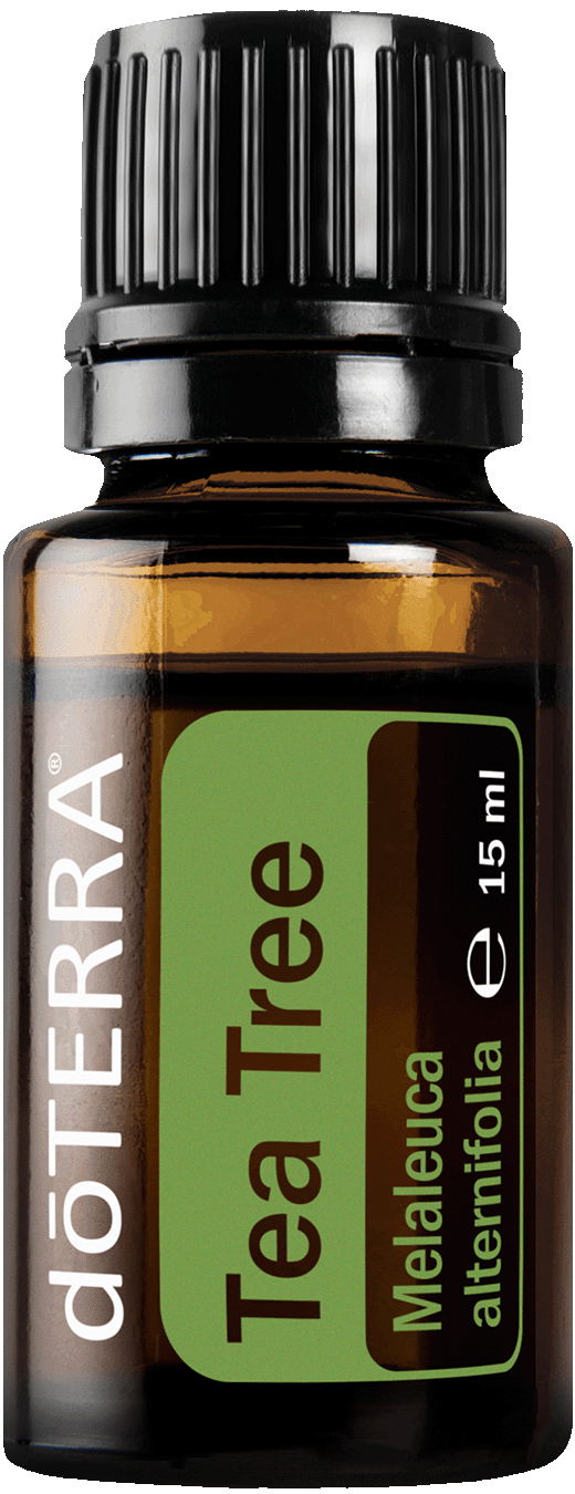 tea tree oil bottle