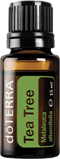 tea tree oil bottle