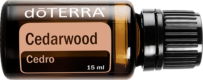 Cedarwood Óleo Essencial 15 ml