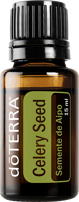 Celery Seed Essential Oil 15 ml