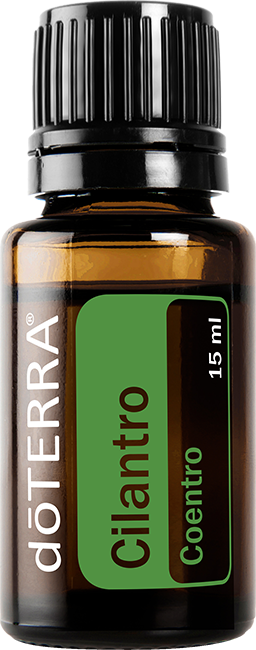 Cilantro Óleo Essencial 15 ml