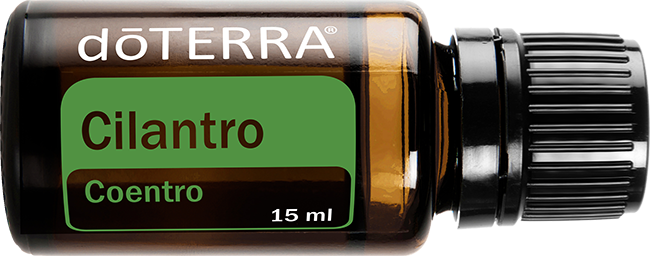 Cilantro Óleo Essencial 15 ml