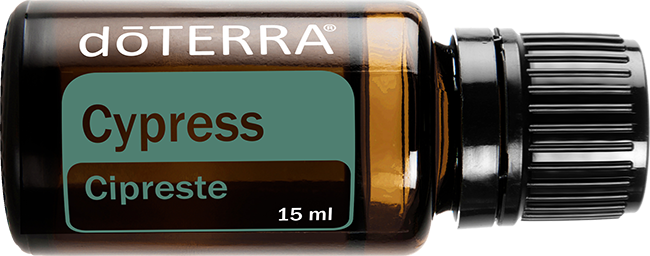 Cypress Óleo Essencial 15 ml