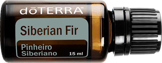 Siberian Fir 15 ml