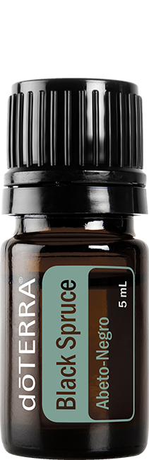 Black Spruce Óleo Essencial 5 ml