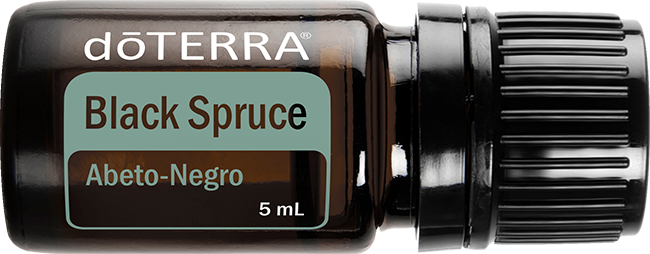 Black Spruce Óleo Essencial 5 ml