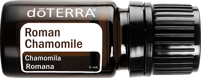 Roman Chamomille Essential Oil 5 ml